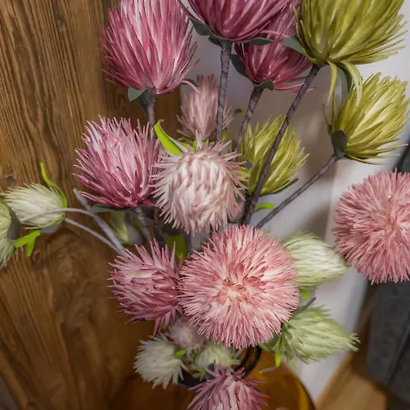 아파트 Montec 2 By Interhome