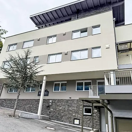 Montec 2 By Interhome Apartment Hippach
